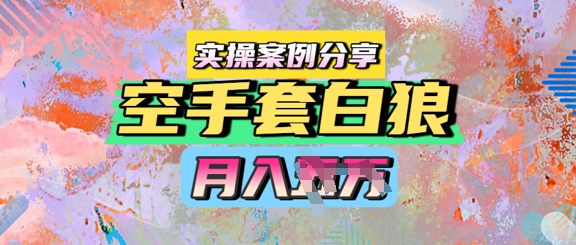 空手套白狼，月入过1W，实操案例分享辉睿网创|辉睿学习|辉睿创业|辉睿电商运营|辉睿小红书|辉睿网赚辉睿网创