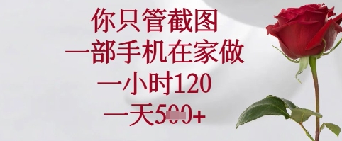 你只管截图，一部手机在家可以做，一小时120.一天5张+【揭秘】辉睿网创|辉睿学习|辉睿创业|辉睿电商运营|辉睿小红书|辉睿网赚辉睿网创