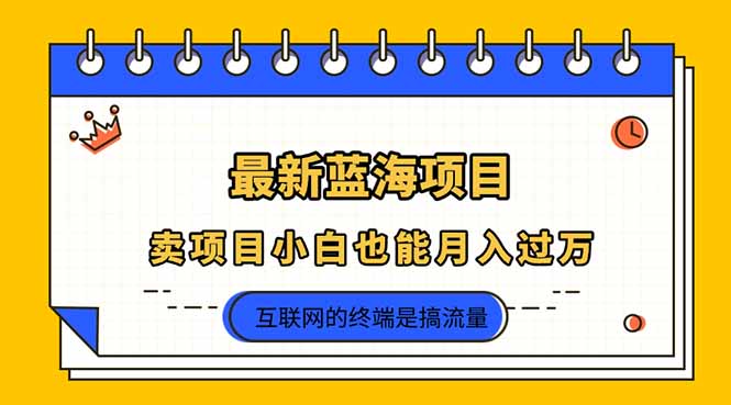 （14289期）2025年最新蓝海项目，卖项目小白也能月入过万辉睿网创|辉睿学习|辉睿创业|辉睿电商运营|辉睿小红书|辉睿网赚辉睿网创