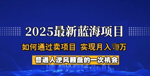 2025蓝海项目，普通人如何通过卖项目，实现月入过W，全过程【揭秘】辉睿网创|辉睿学习|辉睿创业|辉睿电商运营|辉睿小红书|辉睿网赚辉睿网创