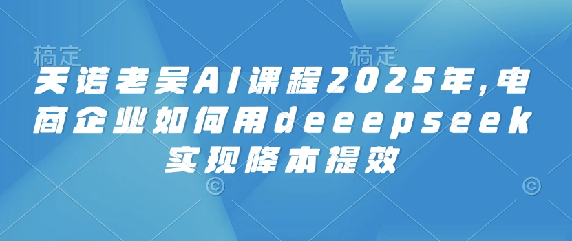 天诺老吴AI课程2025年，电商企业如何用deeepseek实现降本提效辉睿网创|辉睿学习|辉睿创业|辉睿电商运营|辉睿小红书|辉睿网赚辉睿网创