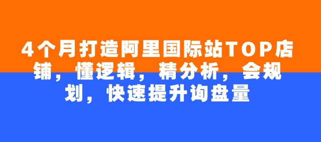 4个月打造阿里国际站TOP店铺，懂逻辑，精分析，会规划，快速提升询盘量辉睿网创|辉睿学习|辉睿创业|辉睿电商运营|辉睿小红书|辉睿网赚辉睿网创