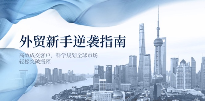 （14201期）外贸新手逆袭指南：高效成交客户，科学规划全球市场，轻松突破瓶颈辉睿网创|辉睿学习|辉睿创业|辉睿电商运营|辉睿小红书|辉睿网赚辉睿网创
