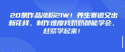 20条作品涨粉21W！养生赛道又出新花样，制作难度我奶奶都能学会，赶紧学起来辉睿网创|辉睿学习|辉睿创业|辉睿电商运营|辉睿小红书|辉睿网赚辉睿网创