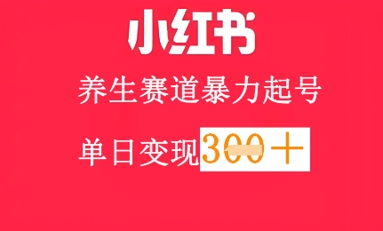 小红书养生赛道，暴力起号，轻松日入3张+辉睿网创|辉睿学习|辉睿创业|辉睿电商运营|辉睿小红书|辉睿网赚辉睿网创