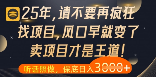 什么？25年你还在疯狂找项目做，醒醒吧，看完这些你全都懂了【揭秘】辉睿网创|辉睿学习|辉睿创业|辉睿电商运营|辉睿小红书|辉睿网赚辉睿网创