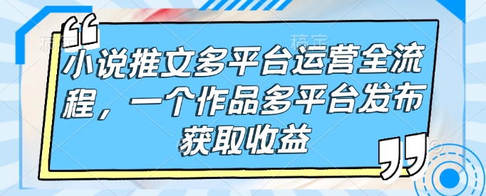 小说推文多平台运营全流程，一个作品多平台发布获取收益辉睿网创|辉睿学习|辉睿创业|辉睿电商运营|辉睿小红书|辉睿网赚辉睿网创