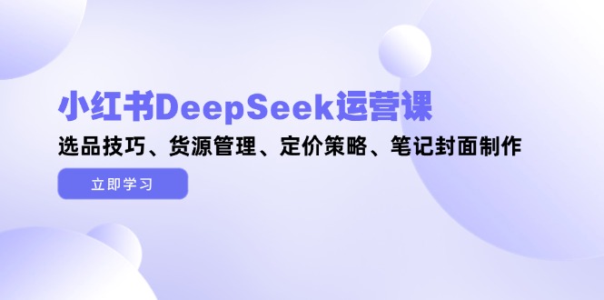 （14748期）小红书DeepSeek运营课，选品技巧、货源管理、定价策略、笔记封面制作辉睿网创|辉睿学习|辉睿创业|辉睿电商运营|辉睿小红书|辉睿网赚辉睿网创