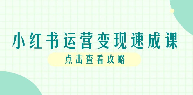（14951期）小红书运营变现速成课，账号搭建到暴力起号，个人IP全流程指南辉睿网创|辉睿学习|辉睿创业|辉睿电商运营|辉睿小红书|辉睿网赚辉睿网创