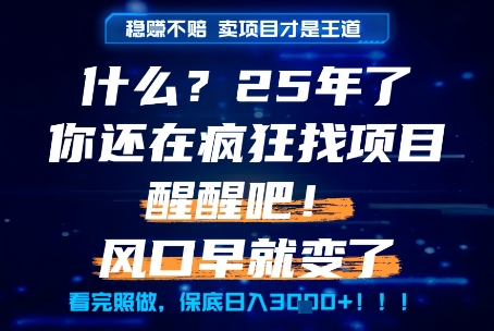 什么？25年你还在疯狂找项目做，醒醒吧，看完这些你全都懂了！【揭秘】辉睿网创|辉睿学习|辉睿创业|辉睿电商运营|辉睿小红书|辉睿网赚辉睿网创