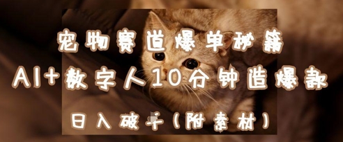 宠物赛道爆单秘籍：AI+数字人10分钟造爆款，日入1k辉睿网创|辉睿学习|辉睿创业|辉睿电商运营|辉睿小红书|辉睿网赚辉睿网创