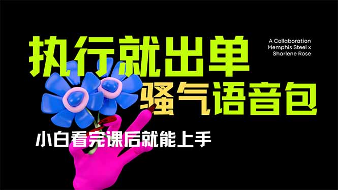 （14170期）爆火全网的开车导航骚气语音包,只要执行就出单，小白看完课程就能实操…辉睿网创|辉睿学习|辉睿创业|辉睿电商运营|辉睿小红书|辉睿网赚辉睿网创