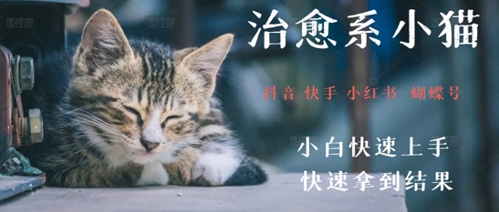 拆解，疯狂火爆！抖音，小红书，视频号小猫治愈的视频，轻松制作+快速拿到结果辉睿网创|辉睿学习|辉睿创业|辉睿电商运营|辉睿小红书|辉睿网赚辉睿网创