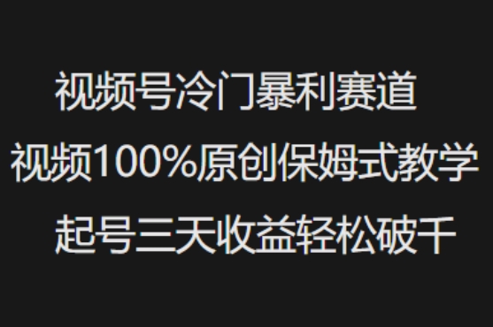 视频号冷门暴利赛道视频100%原创保姆式教学起号三天收益轻松破千辉睿网创|辉睿学习|辉睿创业|辉睿电商运营|辉睿小红书|辉睿网赚辉睿网创