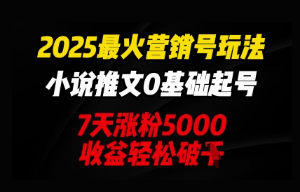 2025最火营销号玩法：小说推文0基础起号，7天涨粉5000，收益轻松破k辉睿网创|辉睿学习|辉睿创业|辉睿电商运营|辉睿小红书|辉睿网赚辉睿网创