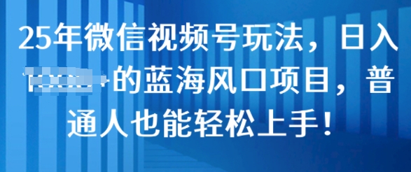 25年微信视频号玩法，日入几张的蓝海风口项目，普通人也能轻松上手!辉睿网创|辉睿学习|辉睿创业|辉睿电商运营|辉睿小红书|辉睿网赚辉睿网创
