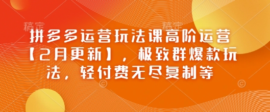 拼多多运营玩法课高阶运营【2月更新】，极致群爆款玩法，轻付费无尽复制等辉睿网创|辉睿学习|辉睿创业|辉睿电商运营|辉睿小红书|辉睿网赚辉睿网创