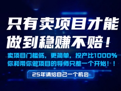 只有卖项目才能做到稳挣不赔，门槛低，更简单，你也可以年入百个W【揭秘】辉睿网创|辉睿学习|辉睿创业|辉睿电商运营|辉睿小红书|辉睿网赚辉睿网创