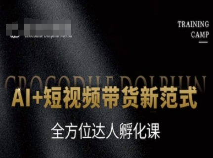 AI+短视频带货新范式，全方位达人孵化课辉睿网创|辉睿学习|辉睿创业|辉睿电商运营|辉睿小红书|辉睿网赚辉睿网创