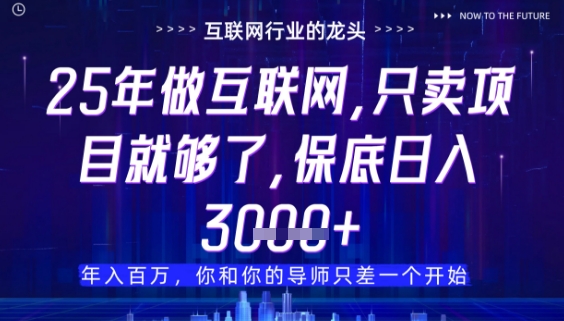 什么！25年你还在找项目做？风口早就变了，卖项目才是稳挣不赔【揭秘】辉睿网创|辉睿学习|辉睿创业|辉睿电商运营|辉睿小红书|辉睿网赚辉睿网创