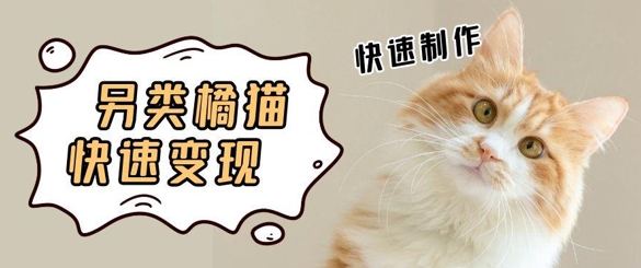 5个作品涨粉30W！AI+江湖橘猫视频制作，小白轻轻松松上手，条条爆款，条条变现，单日就能收益辉睿网创|辉睿学习|辉睿创业|辉睿电商运营|辉睿小红书|辉睿网赚辉睿网创