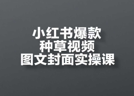 小红书爆款种草视频图文封面实操课，​开店、选品、引流、变现全流程辉睿网创|辉睿学习|辉睿创业|辉睿电商运营|辉睿小红书|辉睿网赚辉睿网创