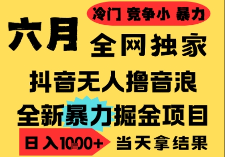 25年6月高爆抖音无人直播最新撸音浪掘金项目，小白可做，无脑日入1k+，门槛低可批量矩阵【揭秘】辉睿网创|辉睿学习|辉睿创业|辉睿电商运营|辉睿小红书|辉睿网赚辉睿网创
