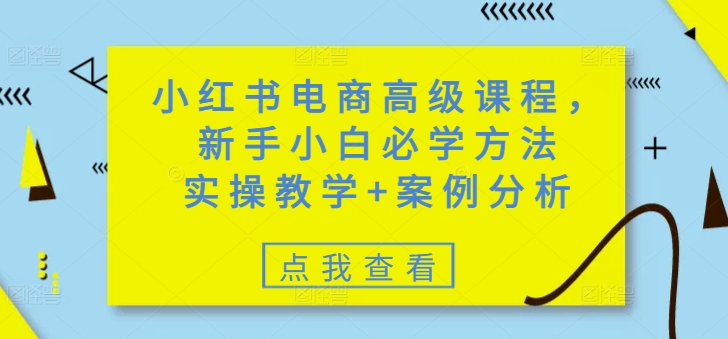 小红书电商高级课程，新手小白必学方法，实操教学+案例分析辉睿网创|辉睿学习|辉睿创业|辉睿电商运营|辉睿小红书|辉睿网赚辉睿网创
