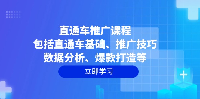 （14001期）直通车推广课程：包括直通车基础、推广技巧、数据分析、爆款打造等辉睿网创|辉睿学习|辉睿创业|辉睿电商运营|辉睿小红书|辉睿网赚辉睿网创