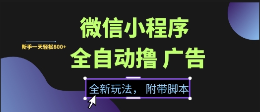 微信小程序全自动撸广告项目，彻底解决没流量的问题，新手一天8张+【揭秘】辉睿网创|辉睿学习|辉睿创业|辉睿电商运营|辉睿小红书|辉睿网赚辉睿网创
