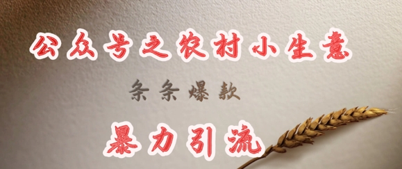 deepseek写农村小项目，条条爆款，暴力引流辉睿网创|辉睿学习|辉睿创业|辉睿电商运营|辉睿小红书|辉睿网赚辉睿网创
