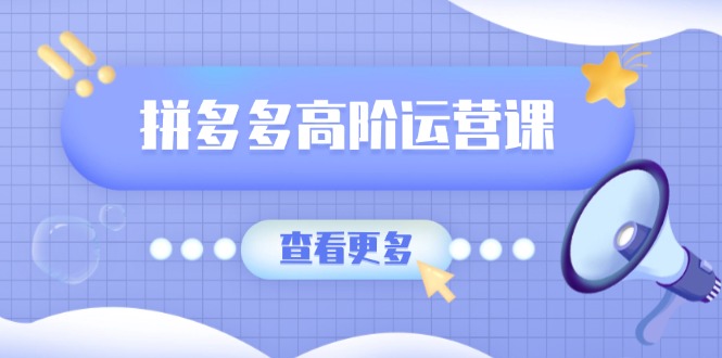 （14327期）拼多多高阶运营课：极致群爆款玩法，轻付费无尽复制，打造单品爆款之路辉睿网创|辉睿学习|辉睿创业|辉睿电商运营|辉睿小红书|辉睿网赚辉睿网创
