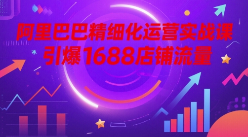 阿里巴巴精细化运营实战课，引爆1688店铺流量辉睿网创|辉睿学习|辉睿创业|辉睿电商运营|辉睿小红书|辉睿网赚辉睿网创