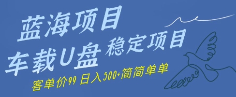 蓝海项目车载U盘稳定项目，挣的就是信息差，客单价99，日入几张简简单单辉睿网创|辉睿学习|辉睿创业|辉睿电商运营|辉睿小红书|辉睿网赚辉睿网创