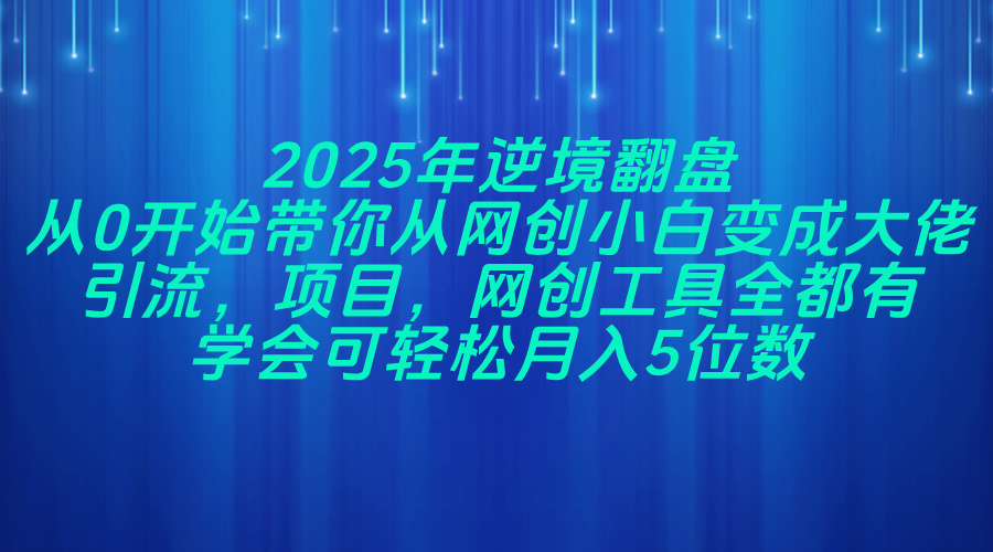 （14473期）2025年逆境翻盘，从0开始带你从网创小白变成大佬，引流，项目，网创工…辉睿网创|辉睿学习|辉睿创业|辉睿电商运营|辉睿小红书|辉睿网赚辉睿网创