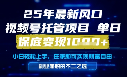 25年最新风口，视频号托管项目，单日保底变现1k+，手把手教学【揭秘】辉睿网创|辉睿学习|辉睿创业|辉睿电商运营|辉睿小红书|辉睿网赚辉睿网创