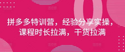 拼多多特训营，经验分享实操，课程时长拉满，干货拉满(更新25年4月)辉睿网创|辉睿学习|辉睿创业|辉睿电商运营|辉睿小红书|辉睿网赚辉睿网创
