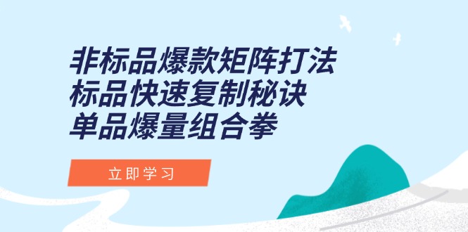 （15068期）非标品爆款矩阵打法，标品快速复制秘诀，单品爆量组合拳辉睿网创|辉睿学习|辉睿创业|辉睿电商运营|辉睿小红书|辉睿网赚辉睿网创
