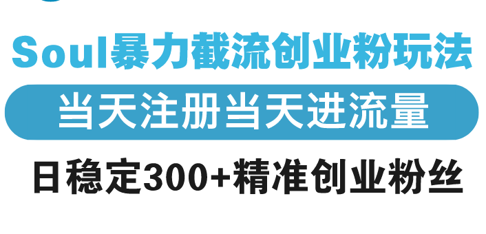 （13935期）Soul暴力截流创业粉玩法，当天注册当天进流量，日稳定300+精准创业粉丝辉睿网创|辉睿学习|辉睿创业|辉睿电商运营|辉睿小红书|辉睿网赚辉睿网创