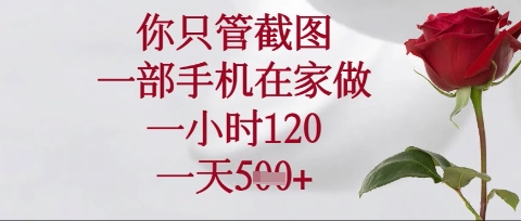 你只管截图，一部手机在家操作，一小时120.一天5张【揭秘】辉睿网创|辉睿学习|辉睿创业|辉睿电商运营|辉睿小红书|辉睿网赚辉睿网创