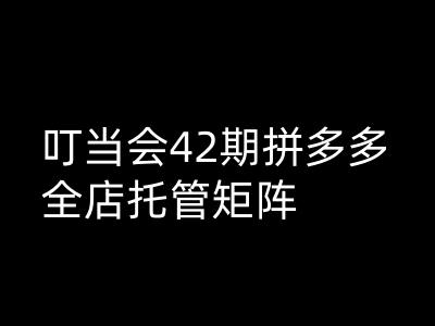 叮当会拼多多打爆班原创高阶技术第42期，拼多多全店托管矩阵辉睿网创|辉睿学习|辉睿创业|辉睿电商运营|辉睿小红书|辉睿网赚辉睿网创