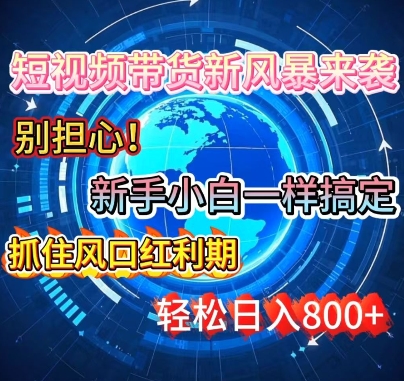 谁说新手搞不定带货?短视频带货新风暴来袭，京东平台小白轻松日进多张辉睿网创|辉睿学习|辉睿创业|辉睿电商运营|辉睿小红书|辉睿网赚辉睿网创