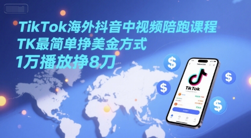 TikTok海外抖音中视频陪跑课程，TK最简单挣美金方式，1万播放挣8刀辉睿网创|辉睿学习|辉睿创业|辉睿电商运营|辉睿小红书|辉睿网赚辉睿网创